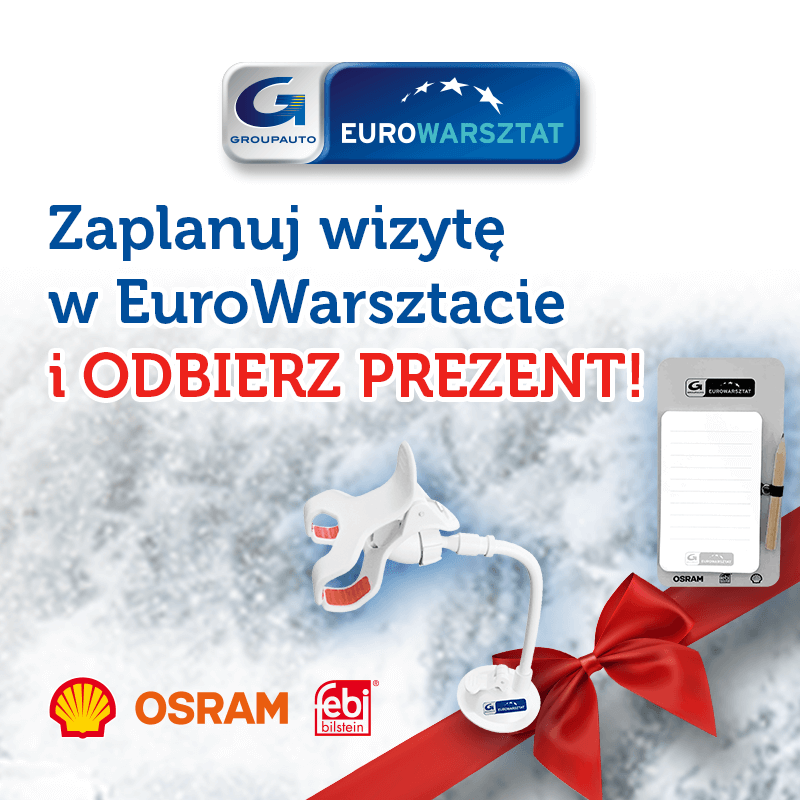 Skorzystaj z prezentowej promocji w sieci EuroWarsztat !